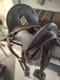 Antique US Cavalry McClellan Saddle and harness