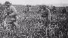 Bloody Wwi Footage 1918 World War I Public Domain Blockbuster