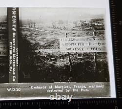 Fisherview Glass Stereoview Photos Slides WWI World War 1 Set of 15 with Boxes WW1