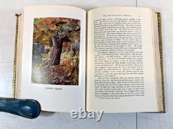 History Of The First Division During the WW I, 1917-19, 1st Ed. 1922, 2 vol, E-62