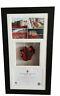 Poppy Display Frame For Tower Of London Ww1 Ceramic Poppy