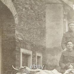Rare Antique RPPC Postcard Oxen Wagon Ride Leiser Germany Military Uniform WWI