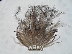 WW1 Australian emu feather hat plume for slouch hat