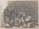 WW1 RARE Cambrai France captured German helmets 1917 Original Press Photo