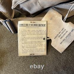 WWI US Army M1917 SBR Gas Mask With Filter and Documentation D-7