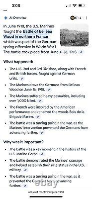 World War 1 Soldiers Diary (Battle Of Belleau France)