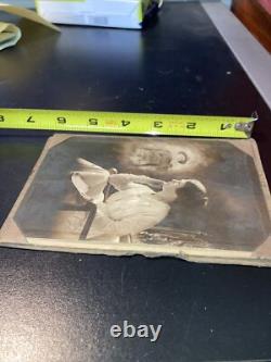 World War One Photograph