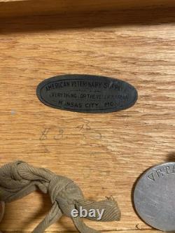 Ww1 Military Lot Rare Veterinary Unit Dog tags With Paperwork And More
