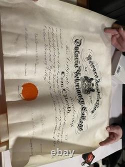 Ww1 Military Lot Rare Veterinary Unit Dog tags With Paperwork And More